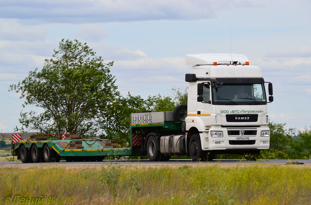 Ростовская область, № Н 875 ХХ 161 — КамАЗ-5490-S5(87)