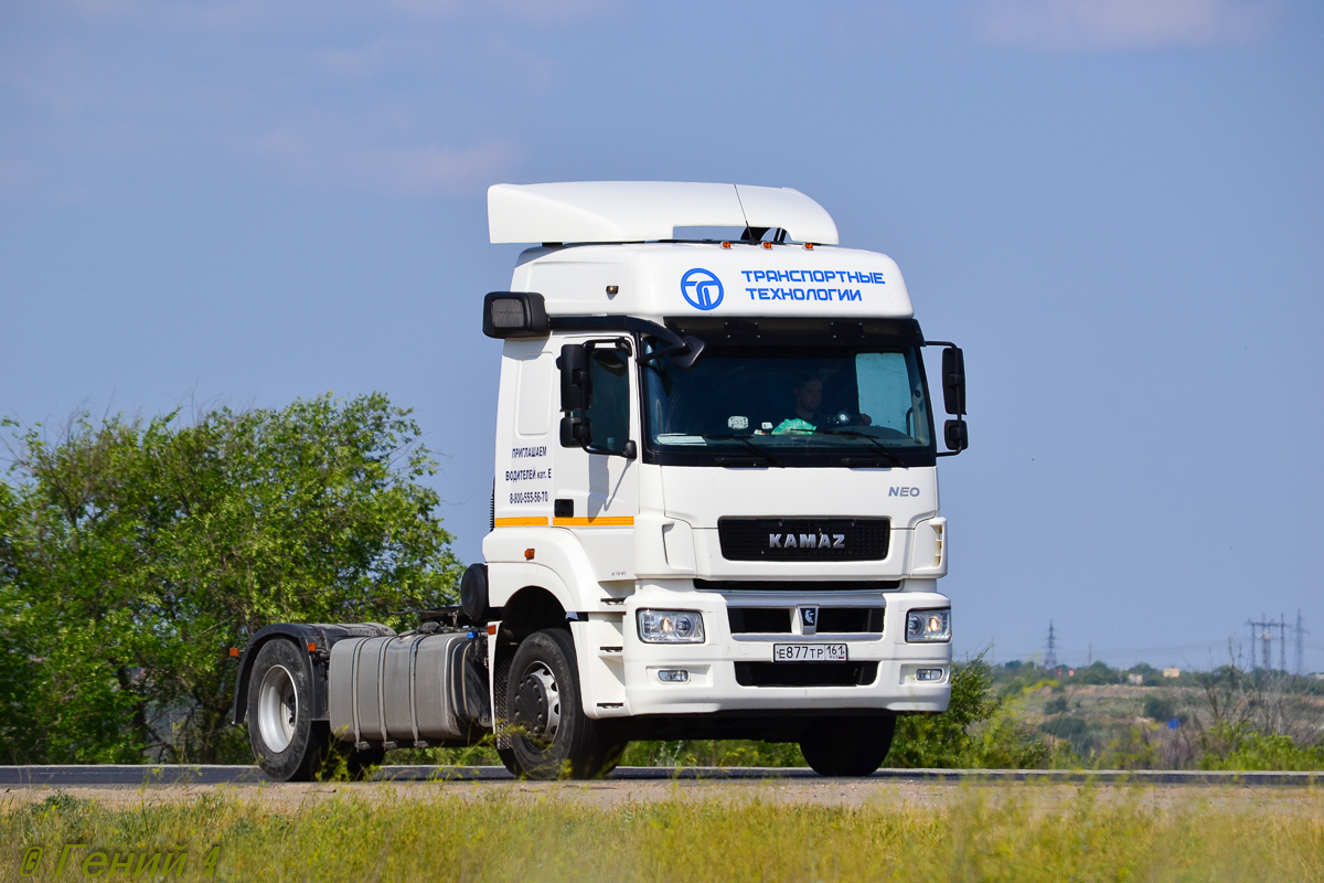 Ростовская область, № Е 877 ТР 161 — КамАЗ-5490-S5(87)