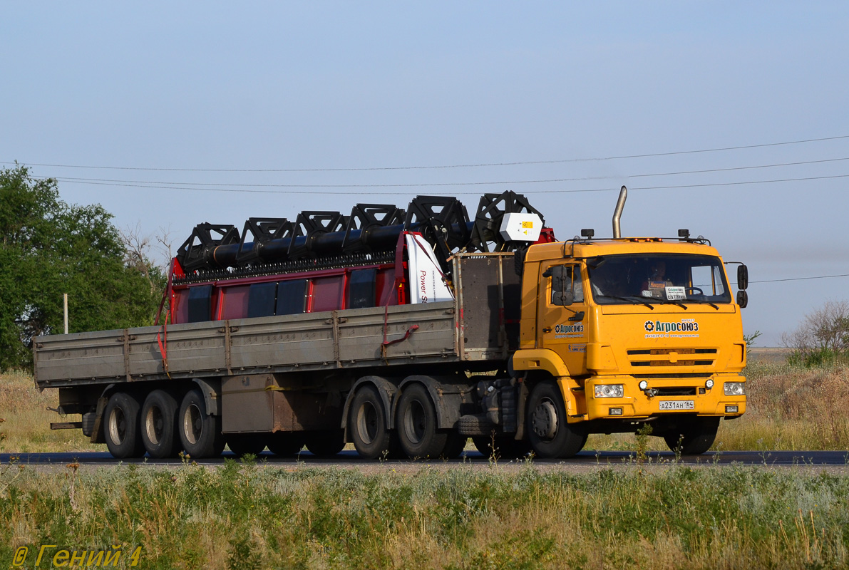 Саратовская область, № А 231 АН 164 — КамАЗ-65116-A4(23)