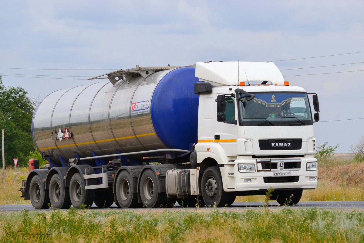 Ростовская область, № К 893 ХХ 161 — КамАЗ-65206-T5(68)