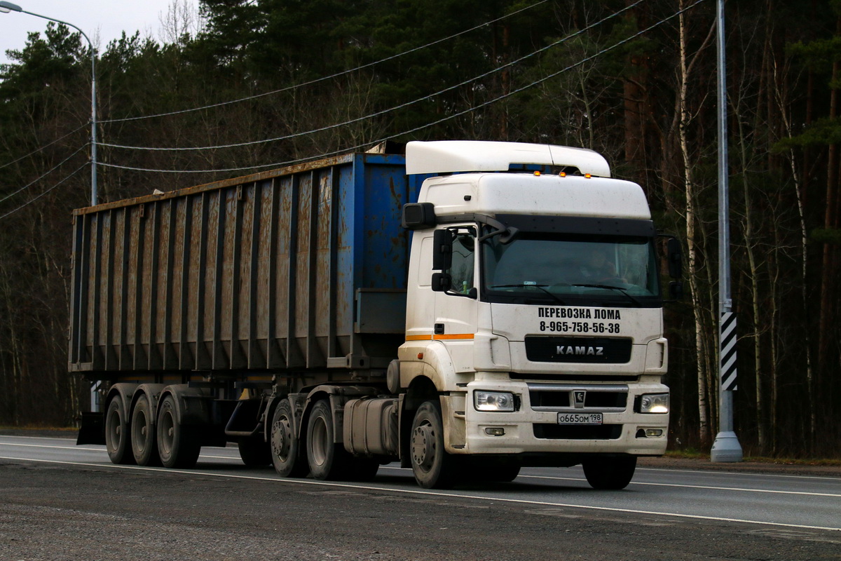 Санкт-Петербург, № О 665 ОМ 198 — КамАЗ-65209-S5(87)