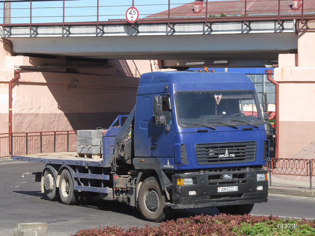 Витебская область, № АМ 0222-2 — МАЗ-6310 (общая модель)