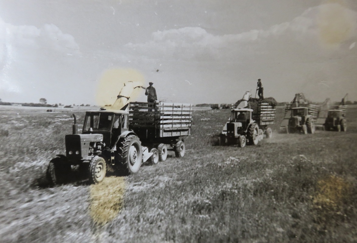 Исторические фотографии (до 2000 года) (Ивановская область)