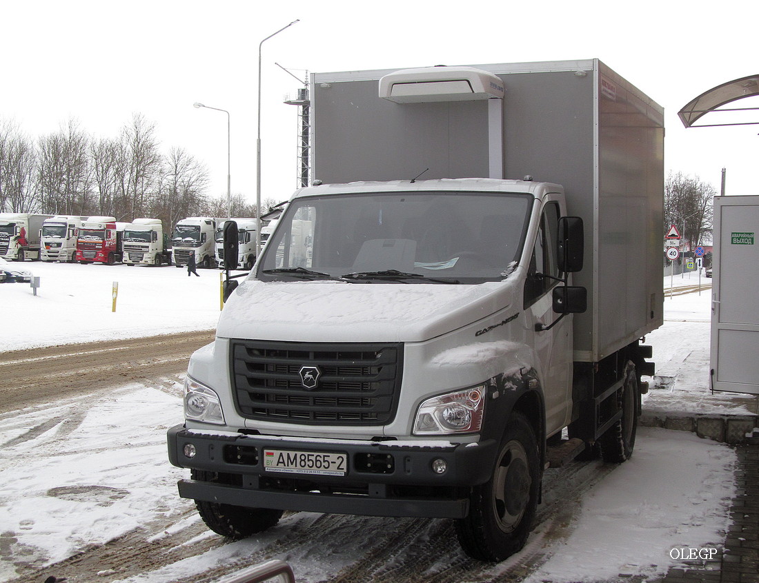 Витебская область, № АМ 8565-2 — ГАЗ-C41R13