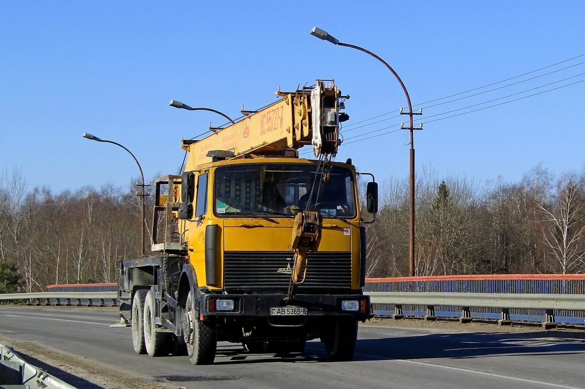 Могилёвская область, № АВ 5365-6 — МАЗ-6303 (общая модель)
