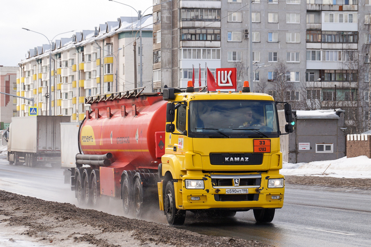 Архангельская область, № О 590 НТ 198 — КамАЗ-65206-S5(87)