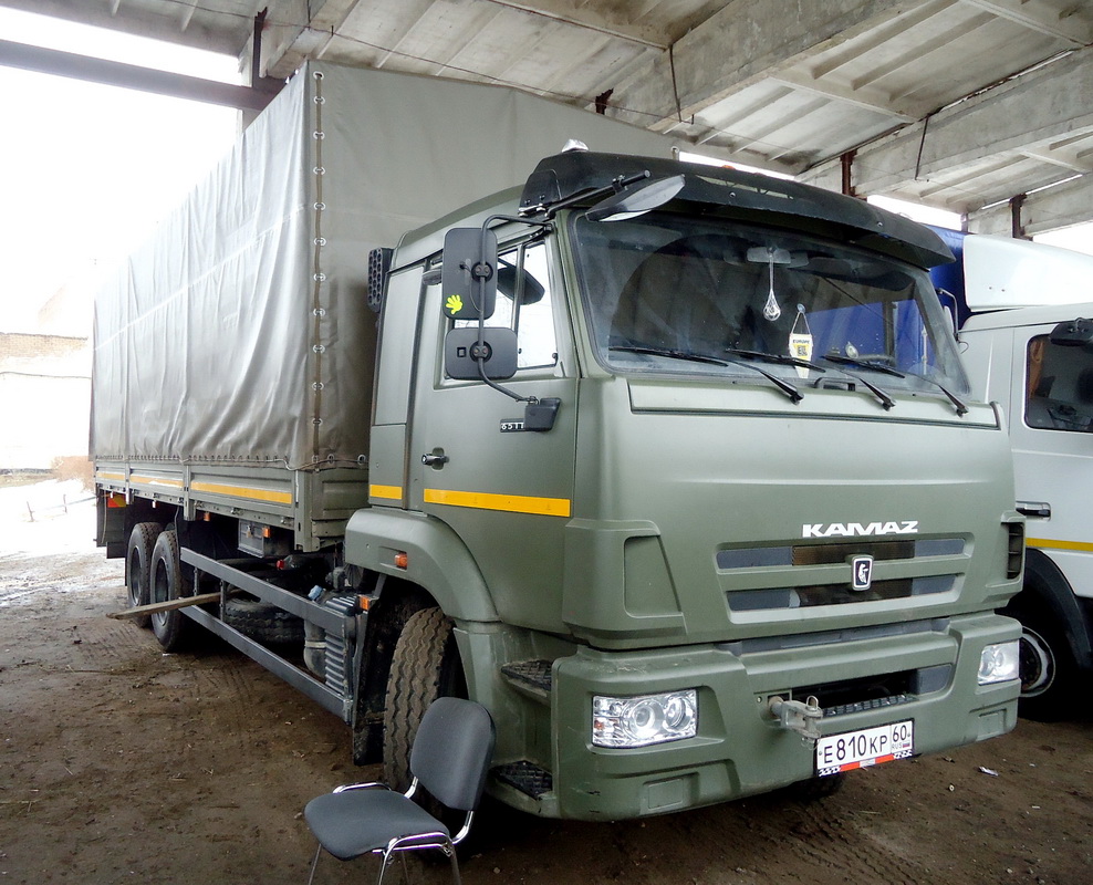Псковская область, № Е 810 КР 60 — КамАЗ-65117-A4(23)