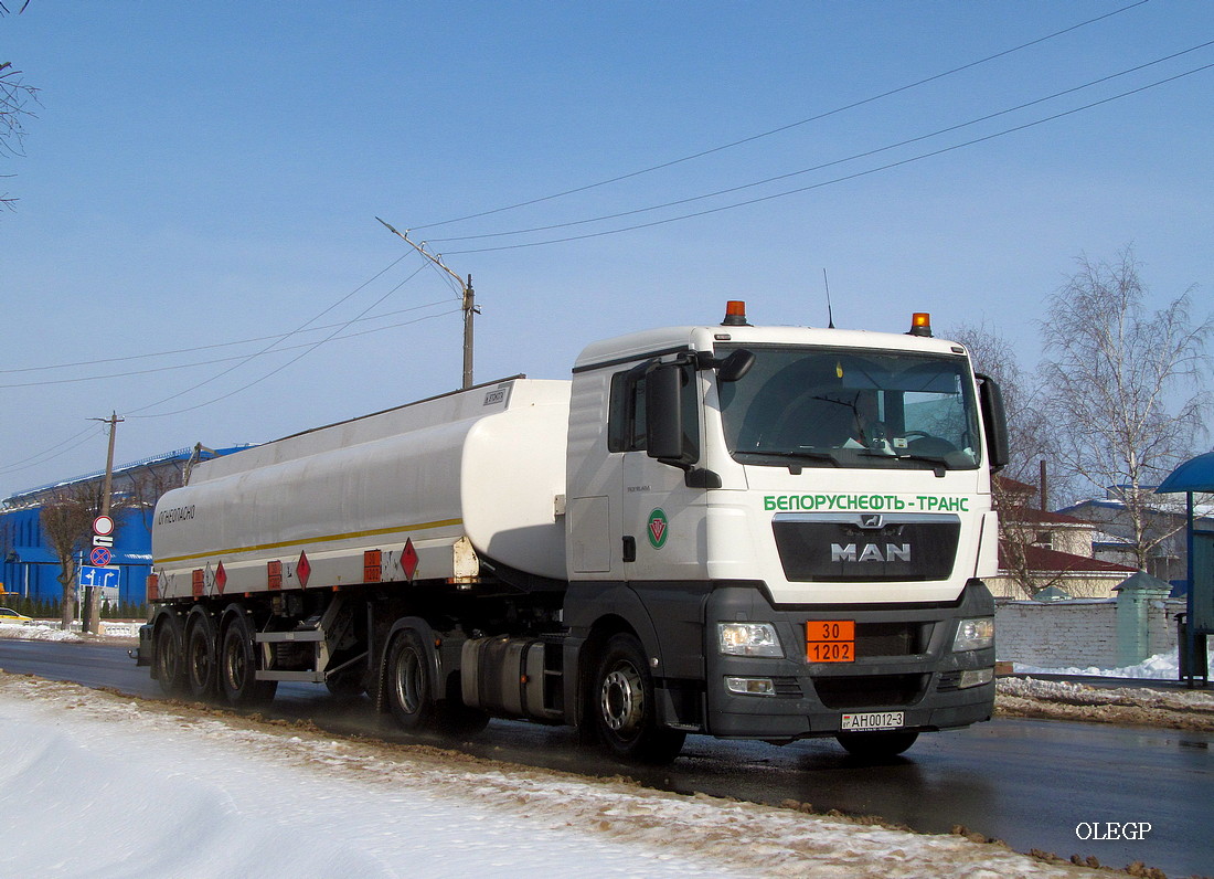 Гомельская область, № АН 0012-3 — MAN TGX ('2007) 18.400