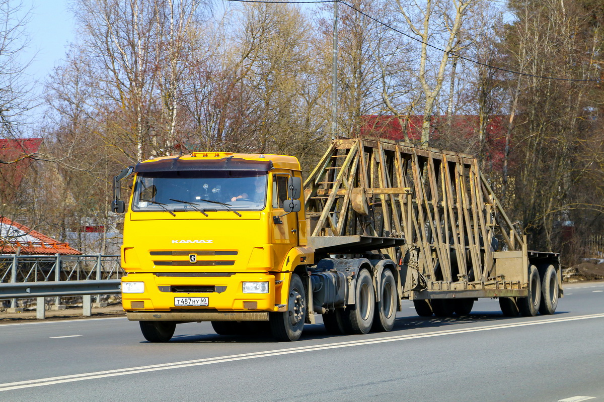 Псковская область, № Т 487 НУ 60 — КамАЗ-65116-A5(48)