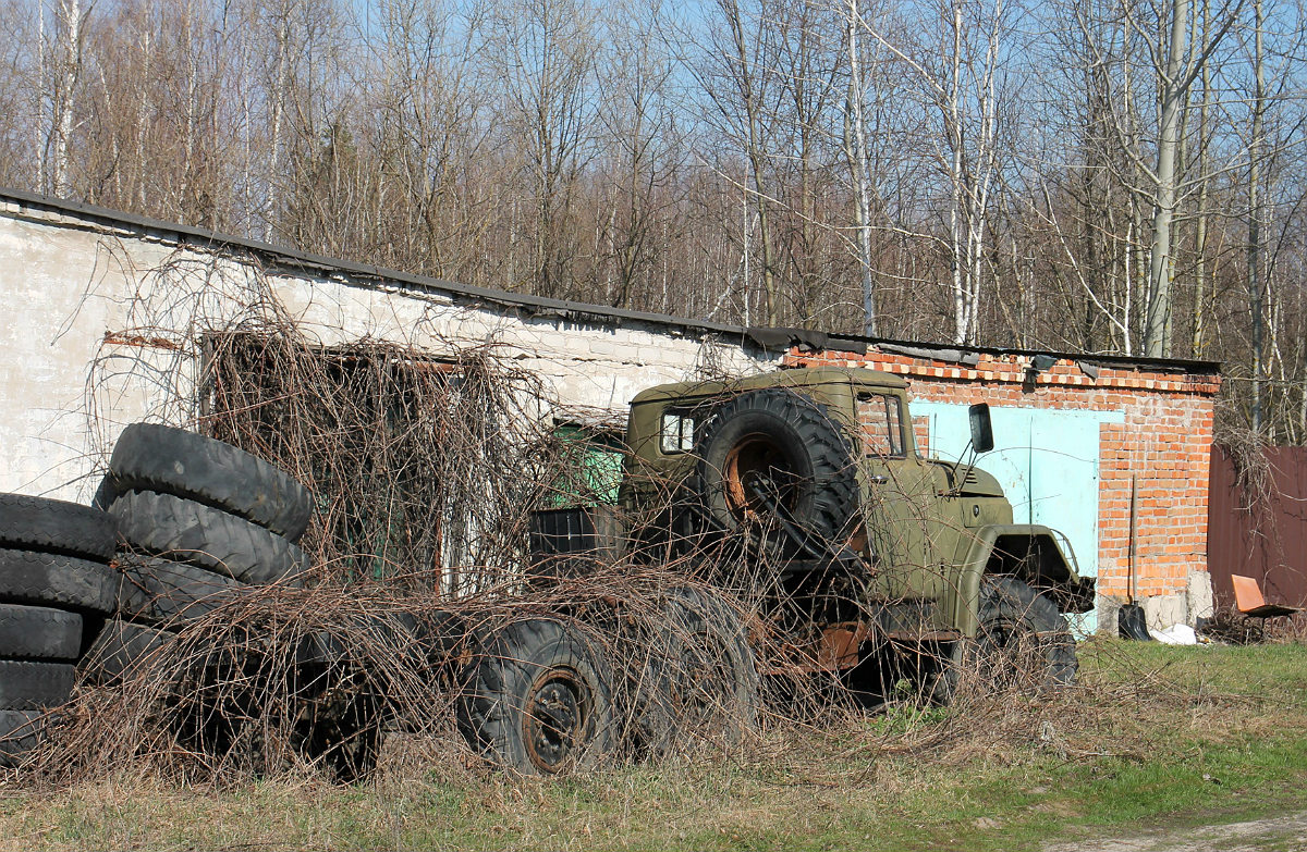 Воронежская область, № А 729 НМ 36 — ЗИЛ-131 (общая модель)