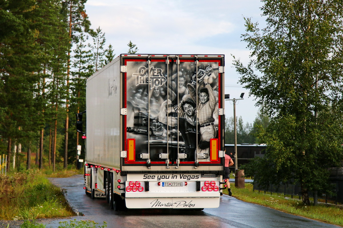 Словакия, № TS-273YE — Schmitz Cargobull S.KO (SCB*S3B) общ.мод