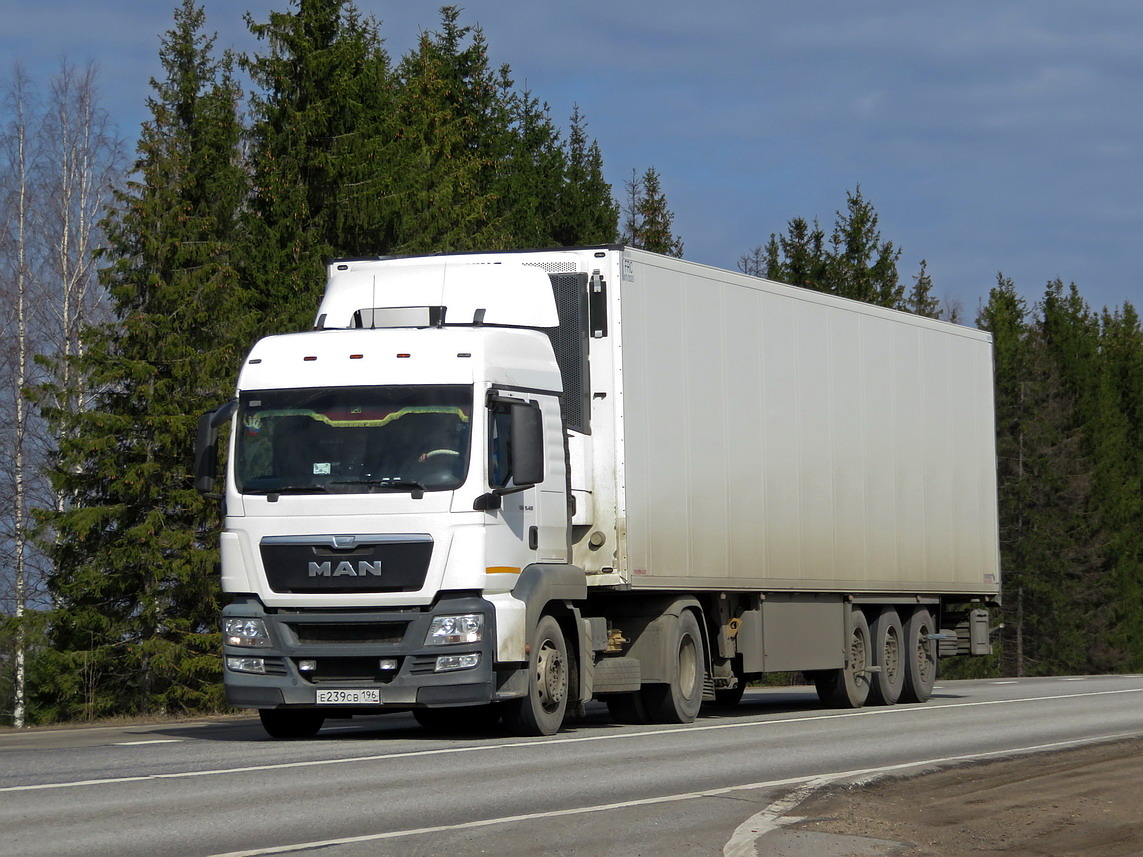 Свердловская область, № Е 239 СВ 196 — MAN TGS 19.400