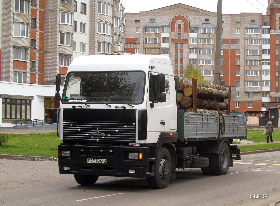 Витебская область, № АЕ 1499-2 — МАЗ (общая модель)
