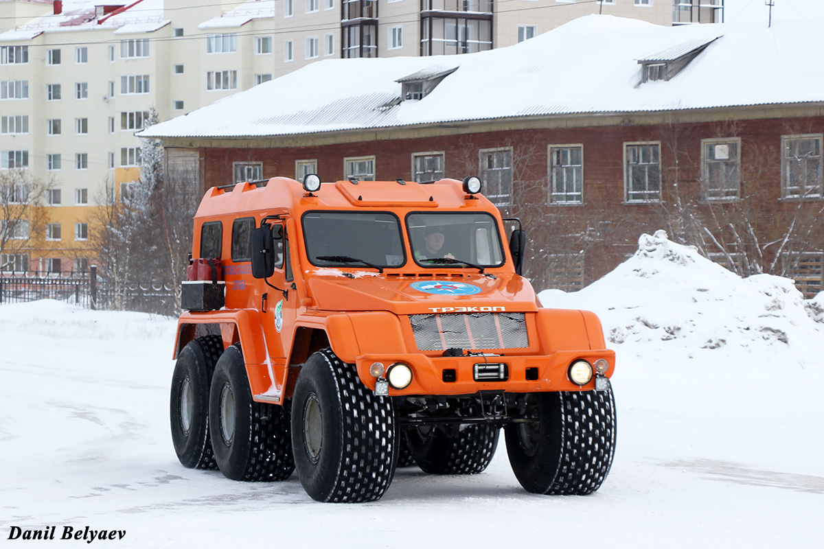 Ненецкий автономный округ, № (83) Б/Н СТ 0036 — ТРЭКОЛ-39294; Ненецкий автономный округ — Спецтехника с нечитаемыми на фото номерами