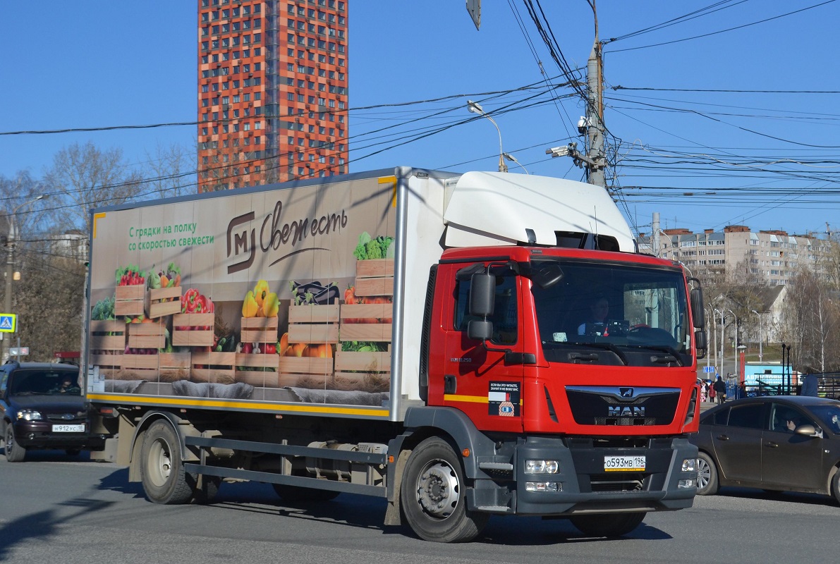 Свердловская область, № О 593 МВ 196 — MAN TGM 18.250