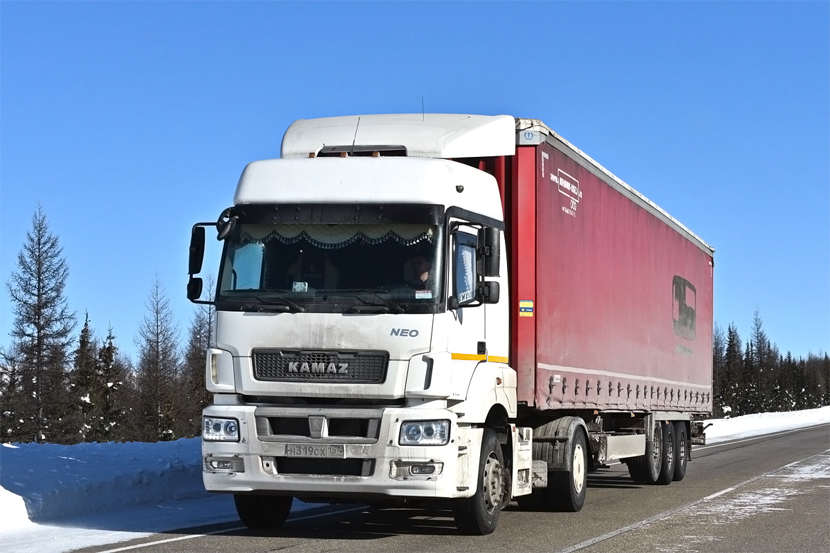 Новосибирская область, № Н 319 СХ 154 — КамАЗ-5490-S5(87)