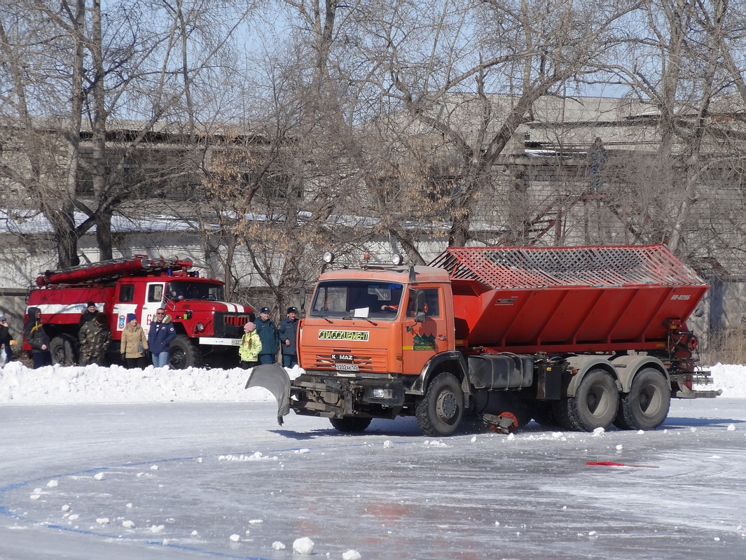 Приморский край, № Е 202 АК 125 — КамАЗ-65115-D3(97)