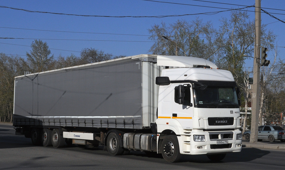 Свердловская область, № О 065 НХ 196 — КамАЗ-5490-S5(87)
