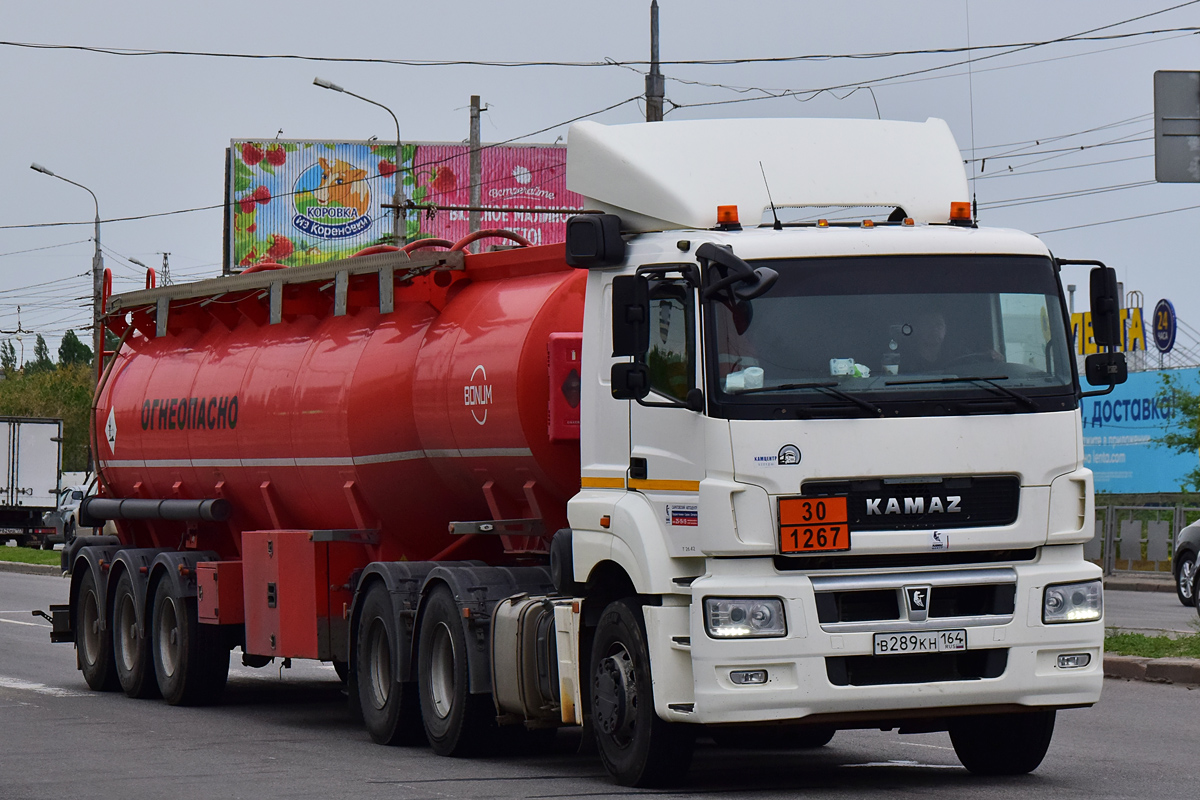 Саратовская область, № В 289 КН 164 — КамАЗ-65206-T5(68)