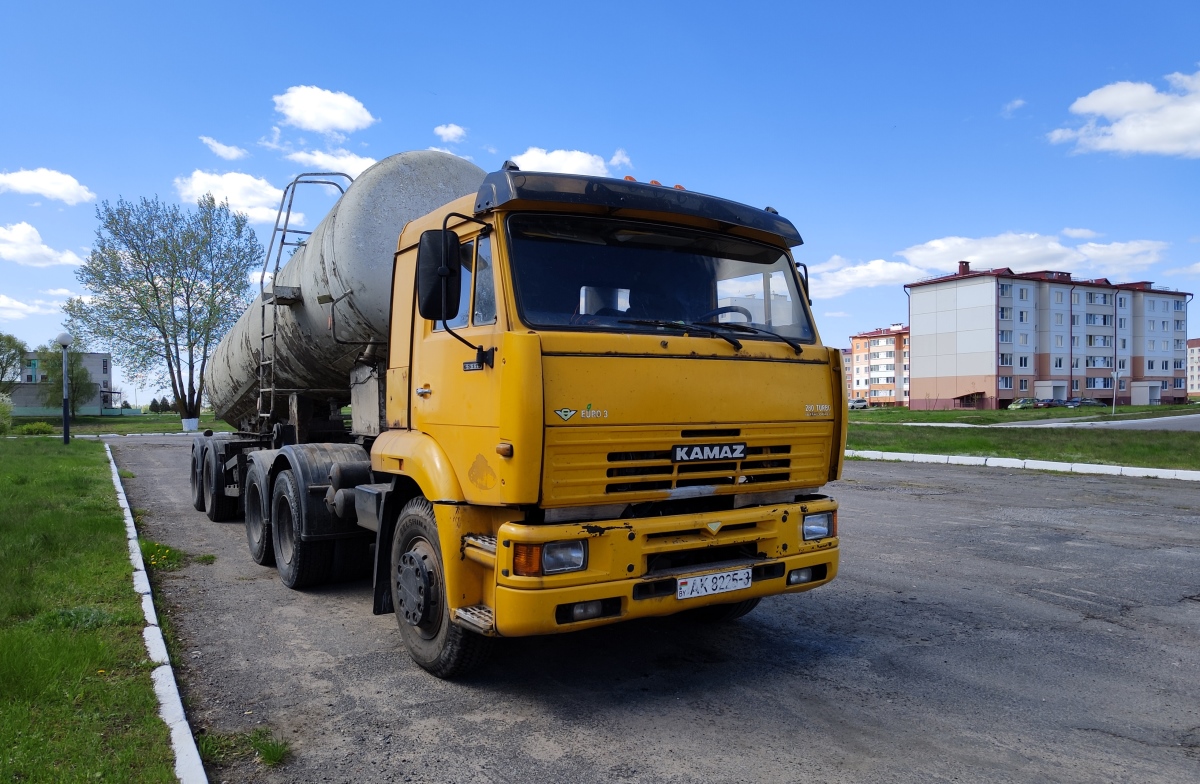 Гомельская область, № АК 8225-3 — КамАЗ-65116-62