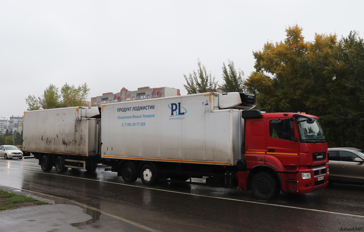 Красноярский край, № Р 216 СА 124 — КамАЗ-65208-S5(87)