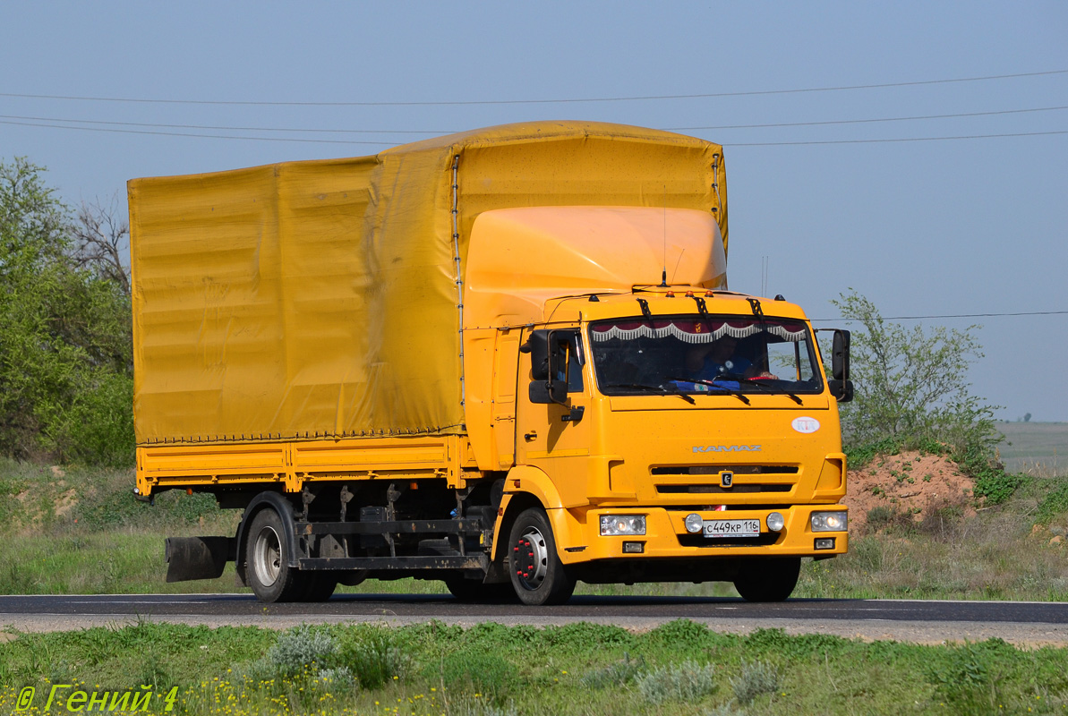 Татарстан, № С 449 КР 116 — КамАЗ-4308-R4(28)