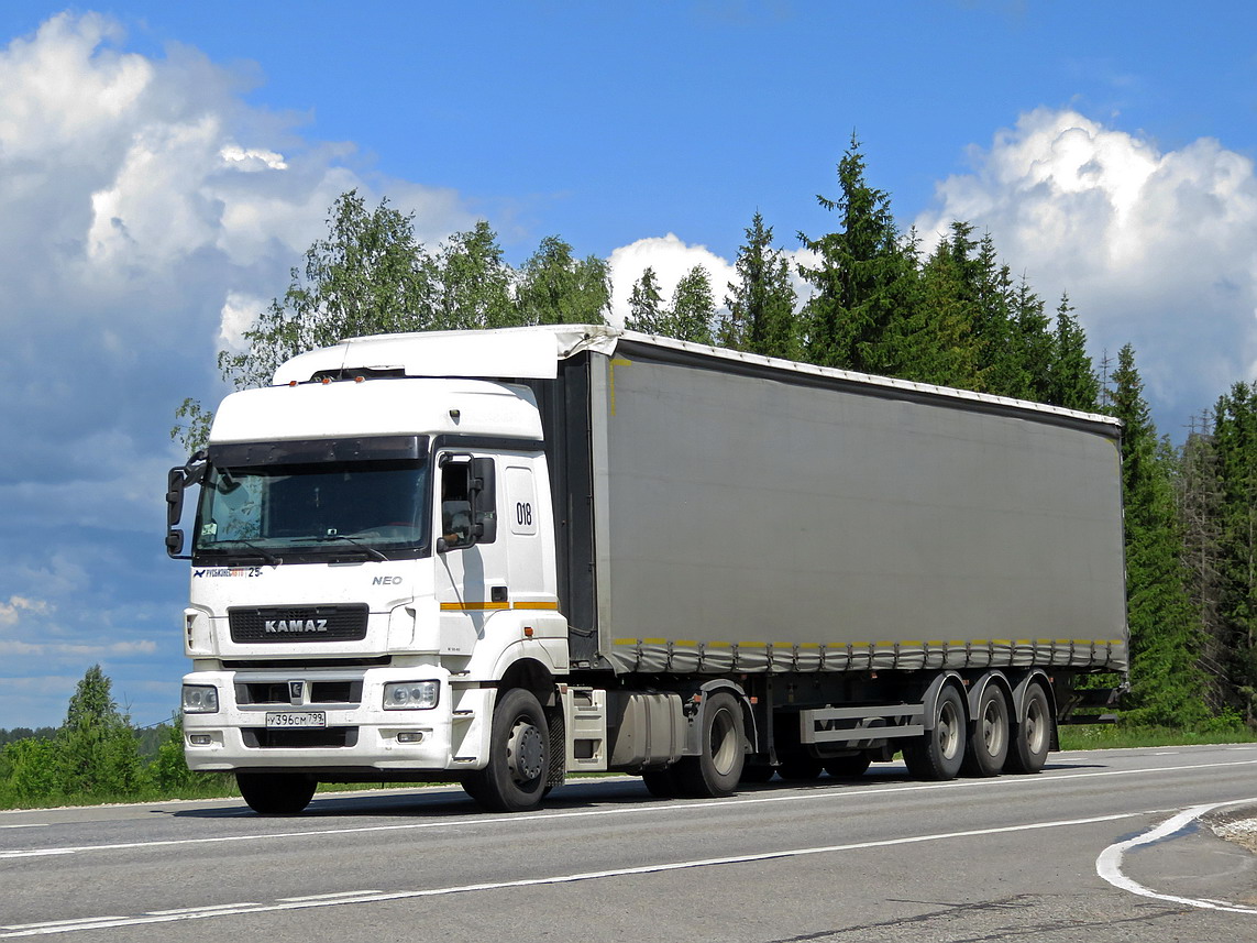 Москва, № У 396 СМ 799 — КамАЗ-5490-DC(87)