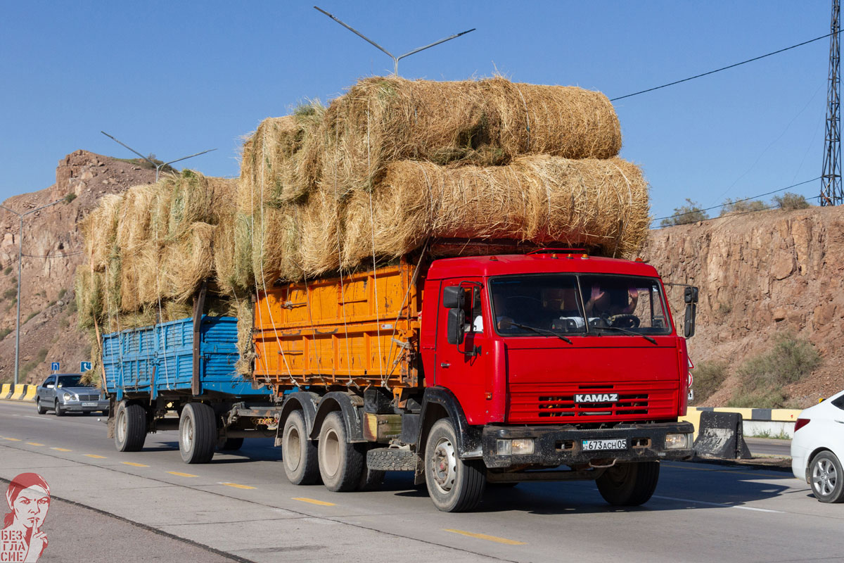 Алматинская область, № 673 ACH 05 — КамАЗ-53205-15 [53205R]