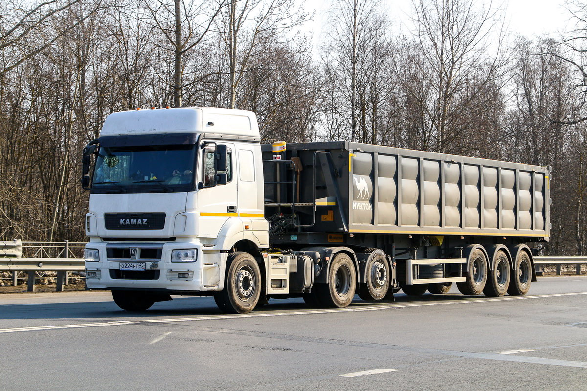 Курганская область, № О 224 МТ 45 — КамАЗ-65209-S5(87)