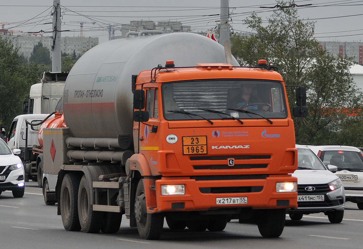 Омская область, № Х 217 ВТ 55 — КамАЗ-65115-A5(48)