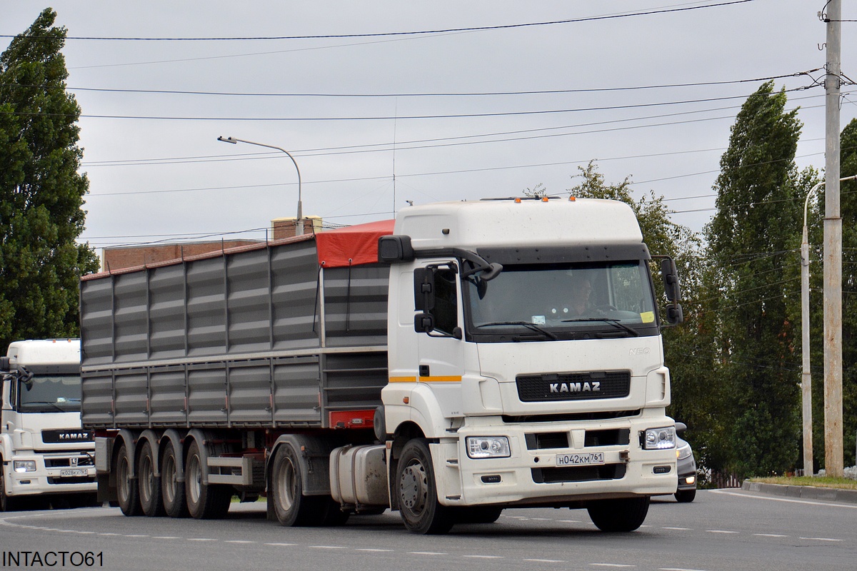 Ростовская область, № Н 042 КМ 761 — КамАЗ-5490-S5(87)