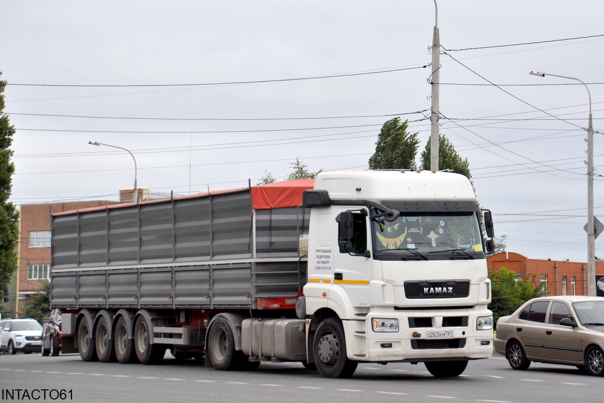 Ростовская область, № О 263 КМ 761 — КамАЗ-5490-S5(87)