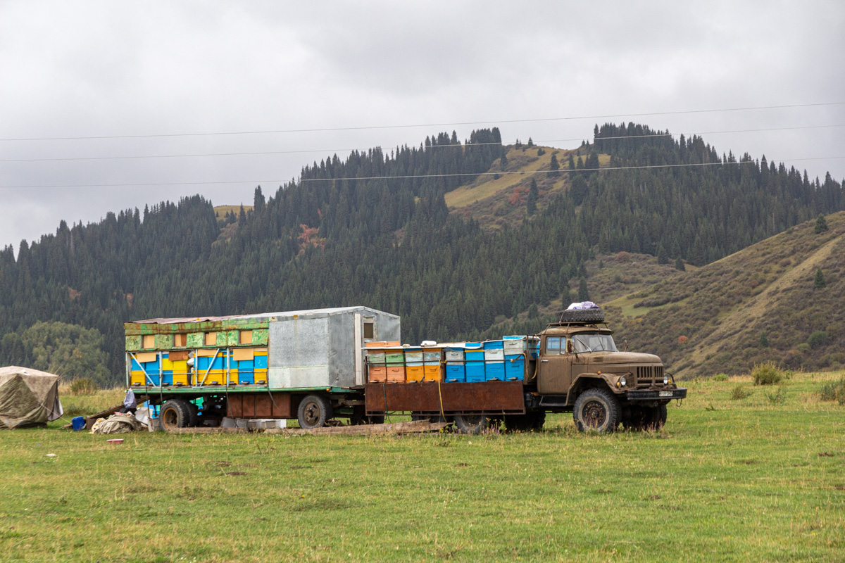 Алматинская область, № B 599 DHO — ЗИЛ-131 (общая модель)