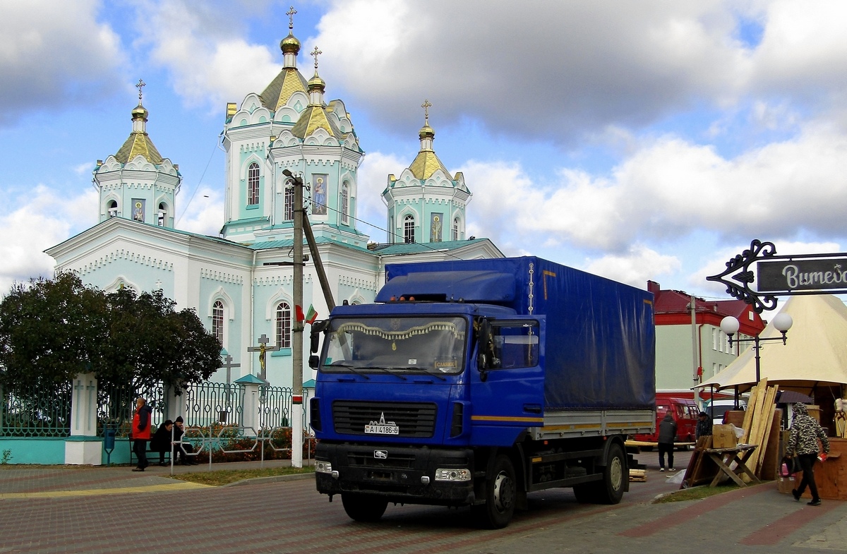 Могилёвская область, № АІ 4186-6 — МАЗ-534026