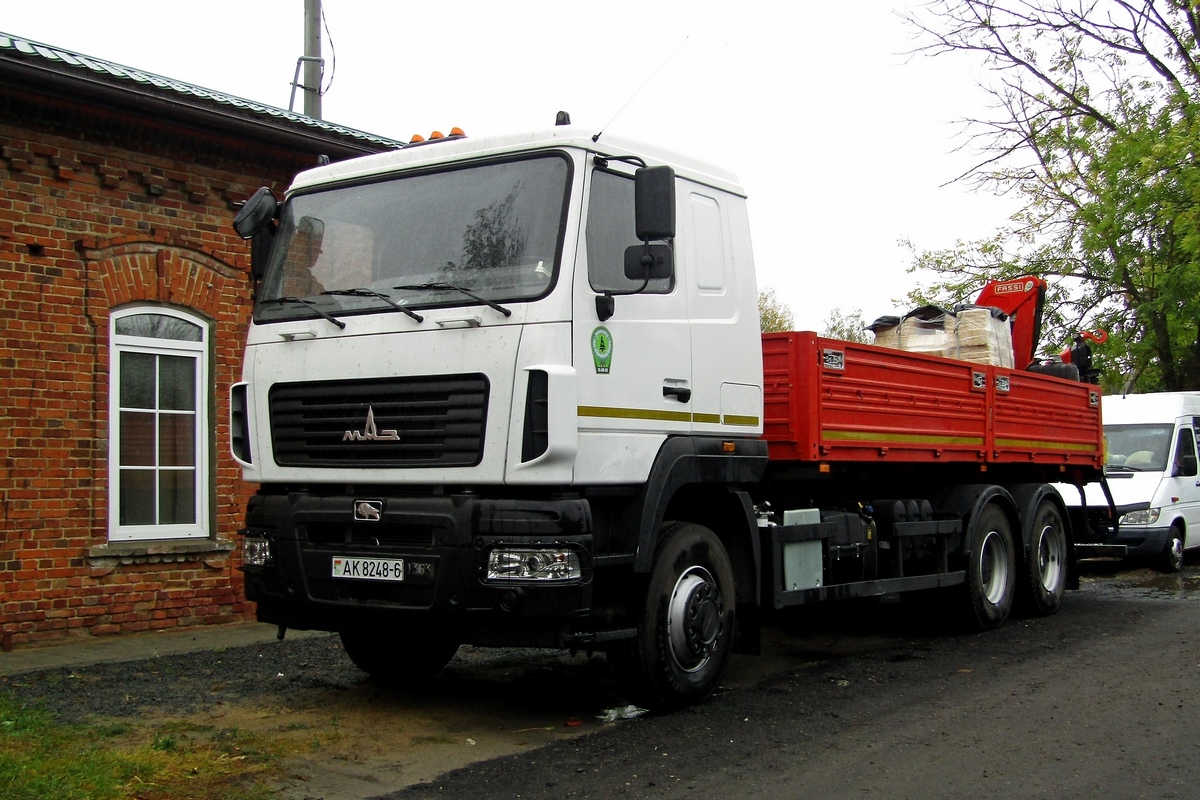 Могилёвская область, № АК 8248-6 — МАЗ-631228