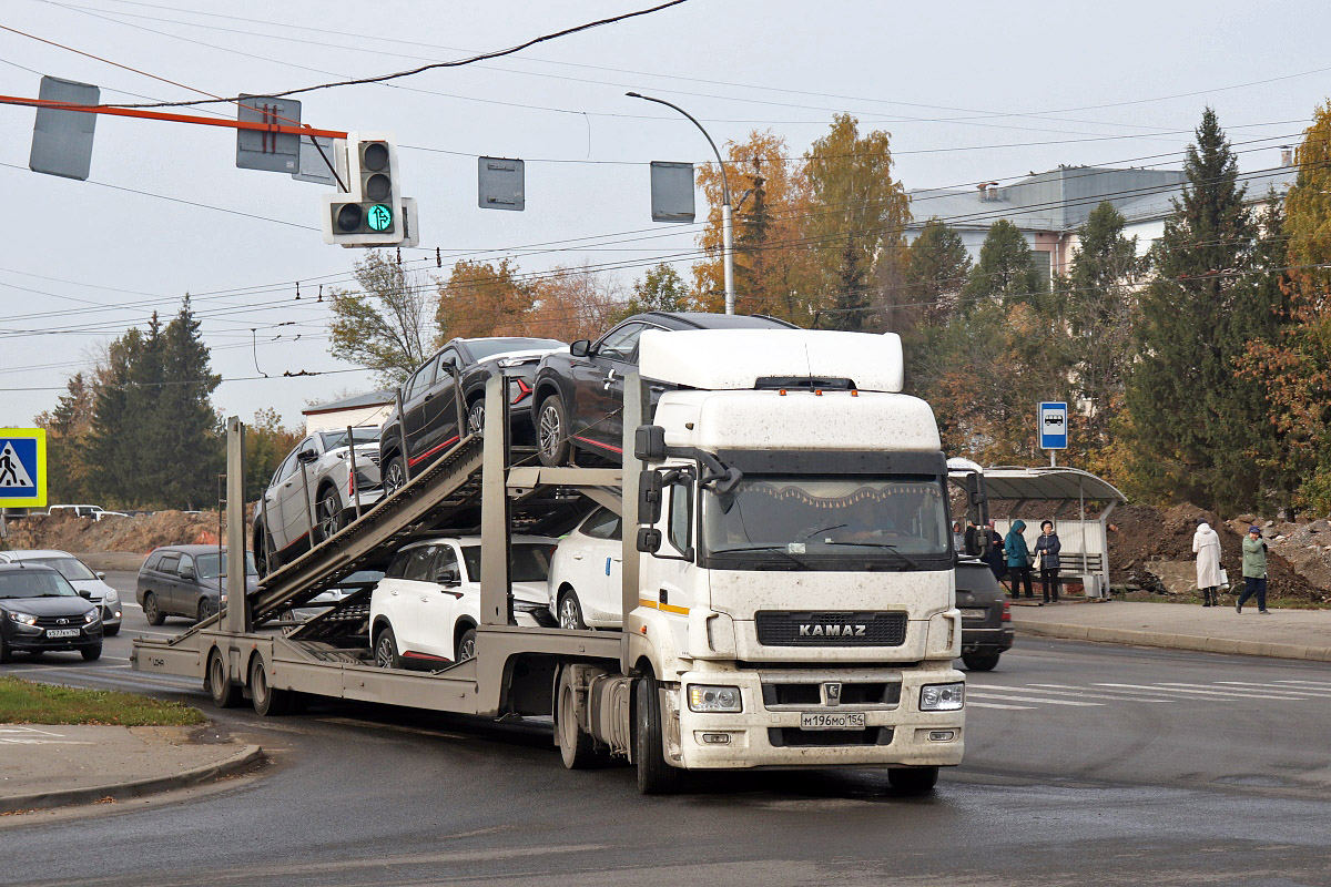 Новосибирская область, № М 196 МО 154 — КамАЗ-5490-S5(87)