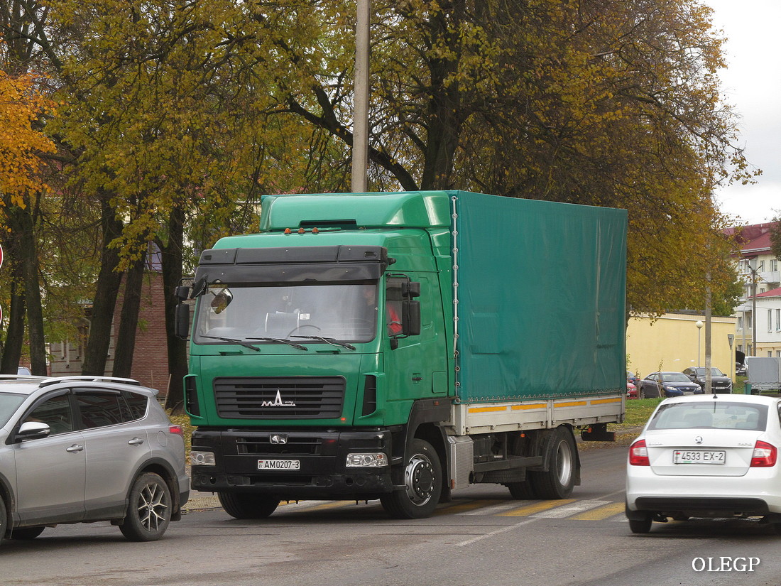 Витебская область, № АМ 0207-3 — МАЗ-5340E9