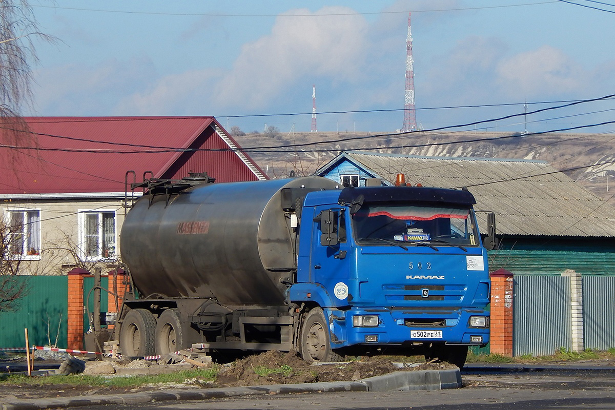 Белгородская область, № О 502 РЕ 31 — КамАЗ-65117-L4(19)