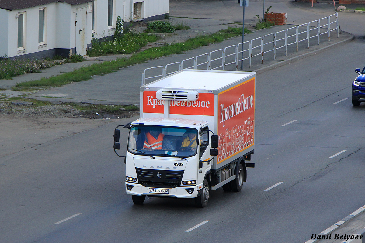 Челябинская область, № 4908 — КамАЗ-43089-F5 "Компас 9"