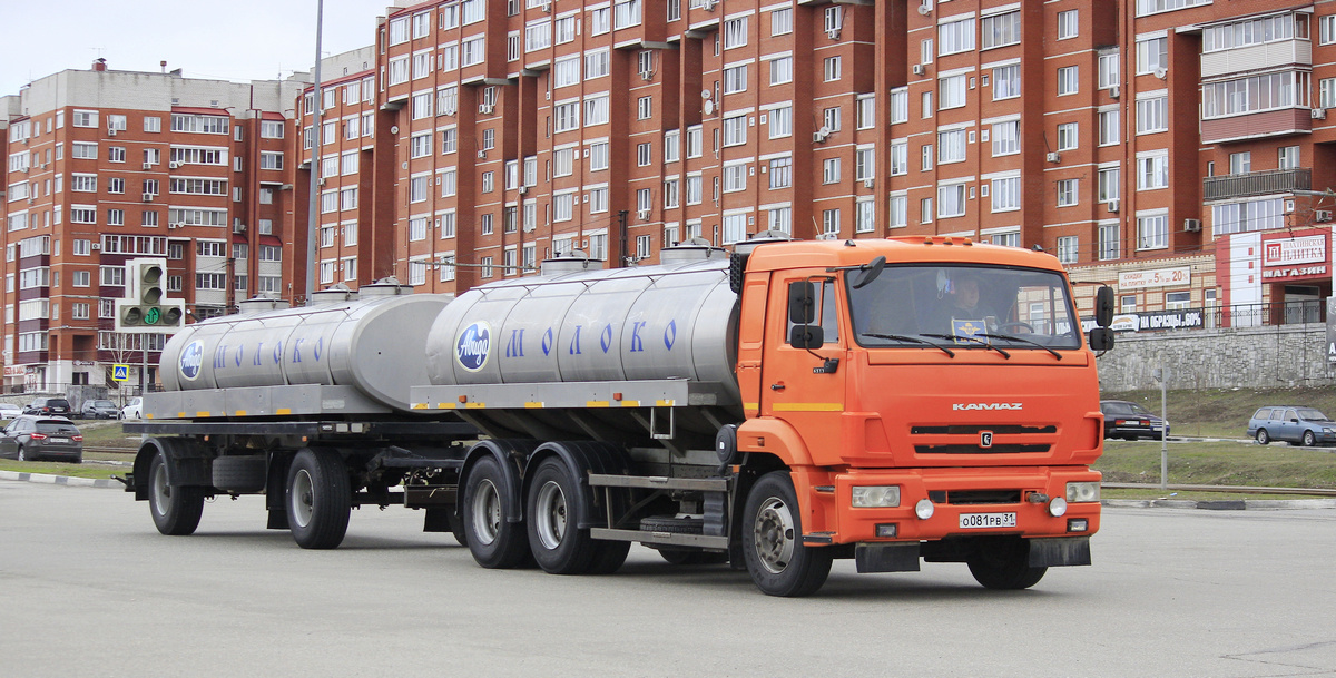 Белгородская область, № О 081 РВ 31 — КамАЗ-65115-L4(19)