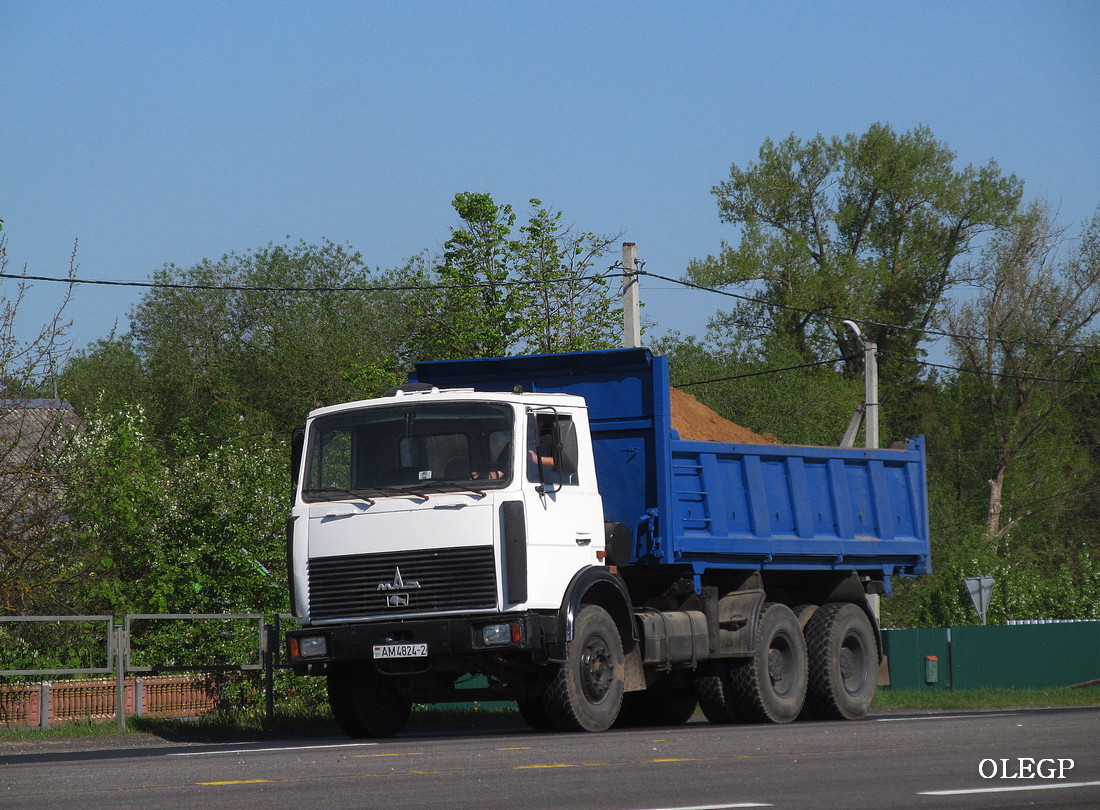 Витебская область, № АМ 4824-2 — МАЗ-5516A5