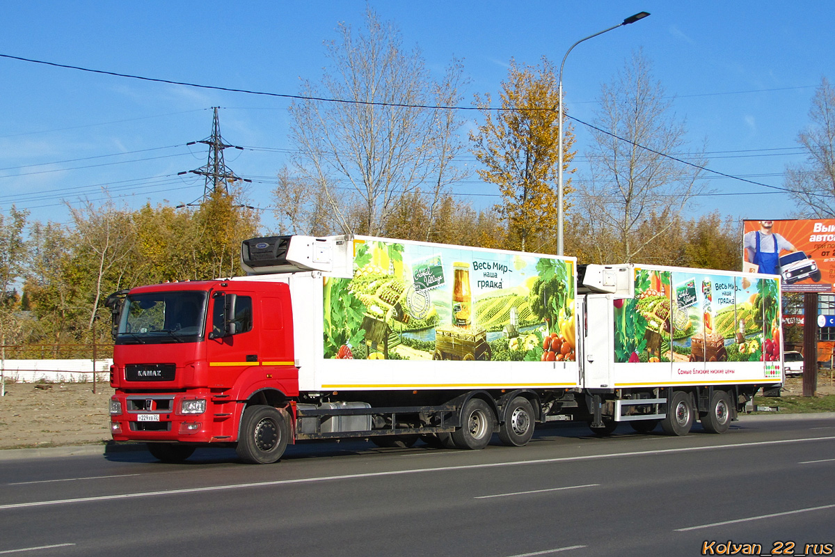 Алтайский край, № У 229 ХВ 22 — КамАЗ-65208-S5(87)