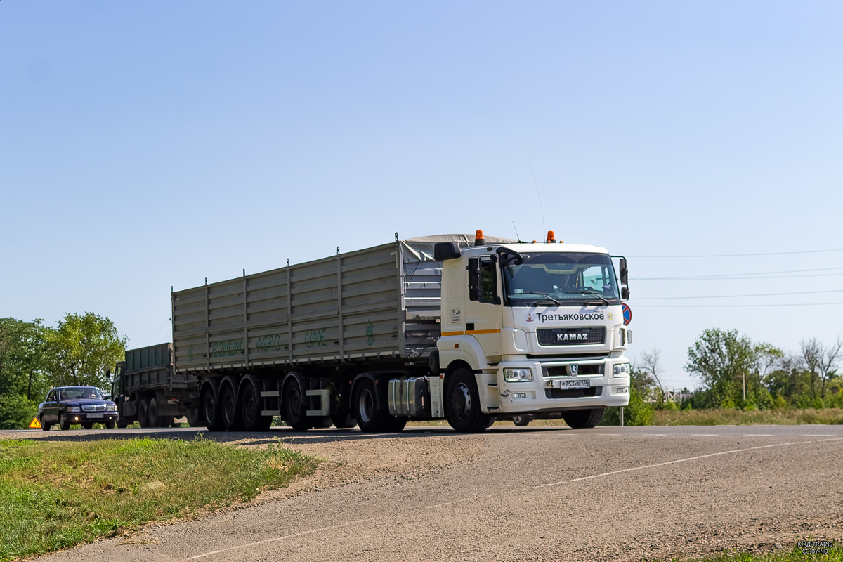 Воронежская область, № Р 753 КВ 136 — КамАЗ-5490-S5(87)
