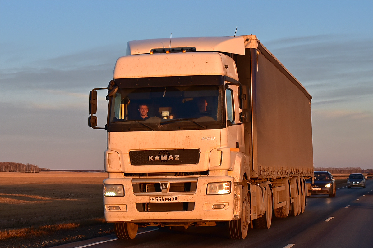 Амурская область, № М 556 ЕМ 28 — КамАЗ-5490-DC(87)