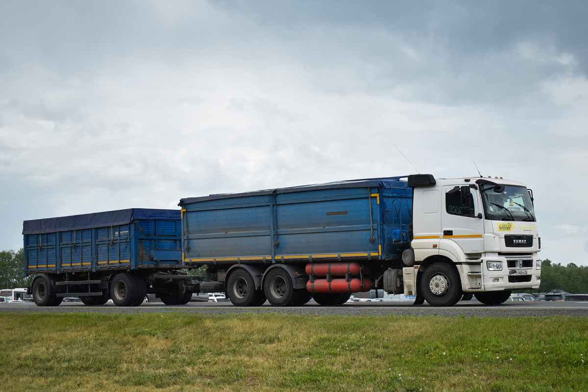 Алтайский край, № Х 140 ХК 22 — КамАЗ-65207-S5(87)
