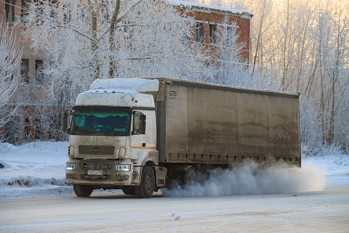 Краснодарский край, № С 877 НН 790 — КамАЗ-5490-S5(87)