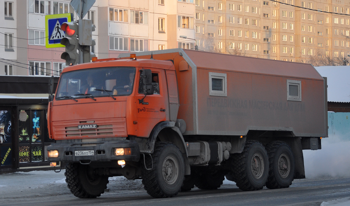 Омская область, № В 236 ХО 154 — КамАЗ-43118-15 [43118R]