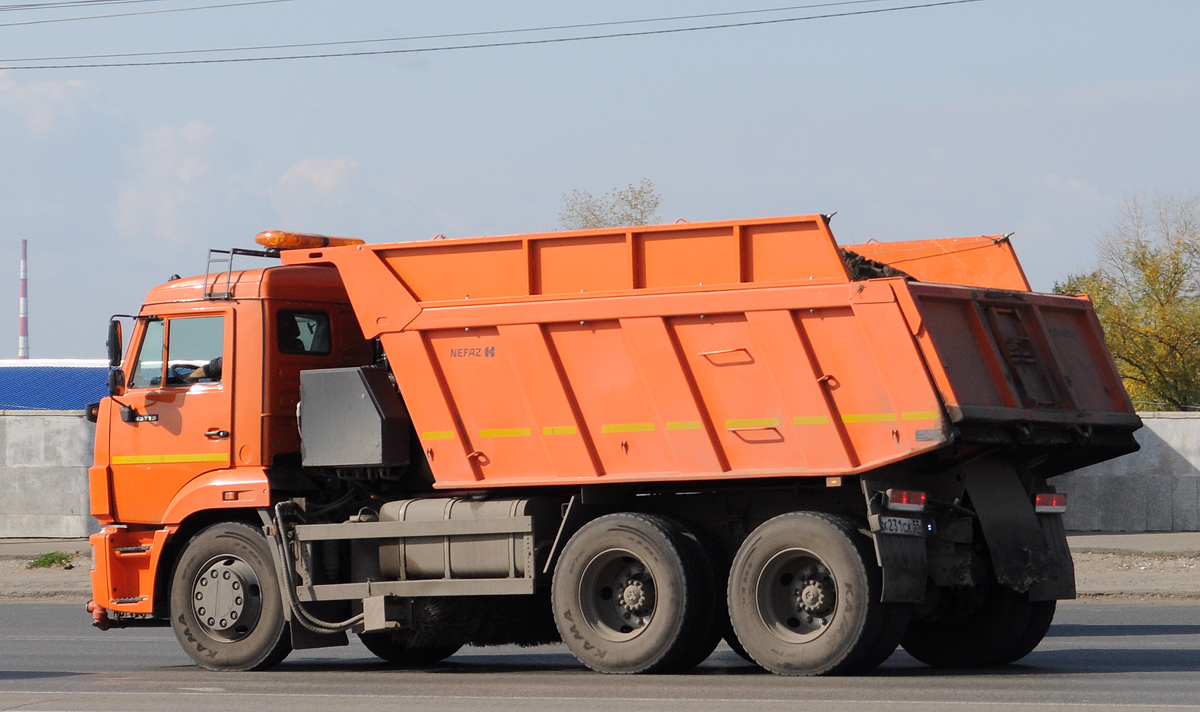 Омская область, № Х 231 СК 55 — КамАЗ-65115-A5(48)
