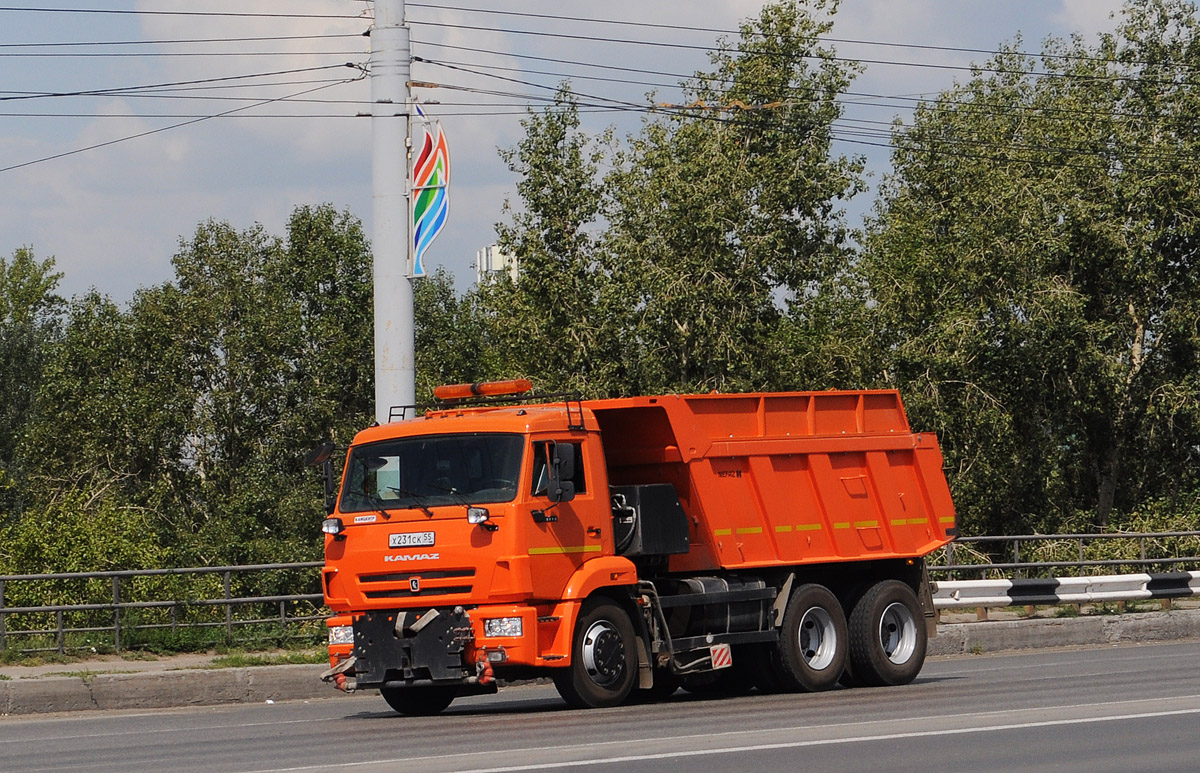 Омская область, № Х 231 СК 55 — КамАЗ-65115-A5(48)