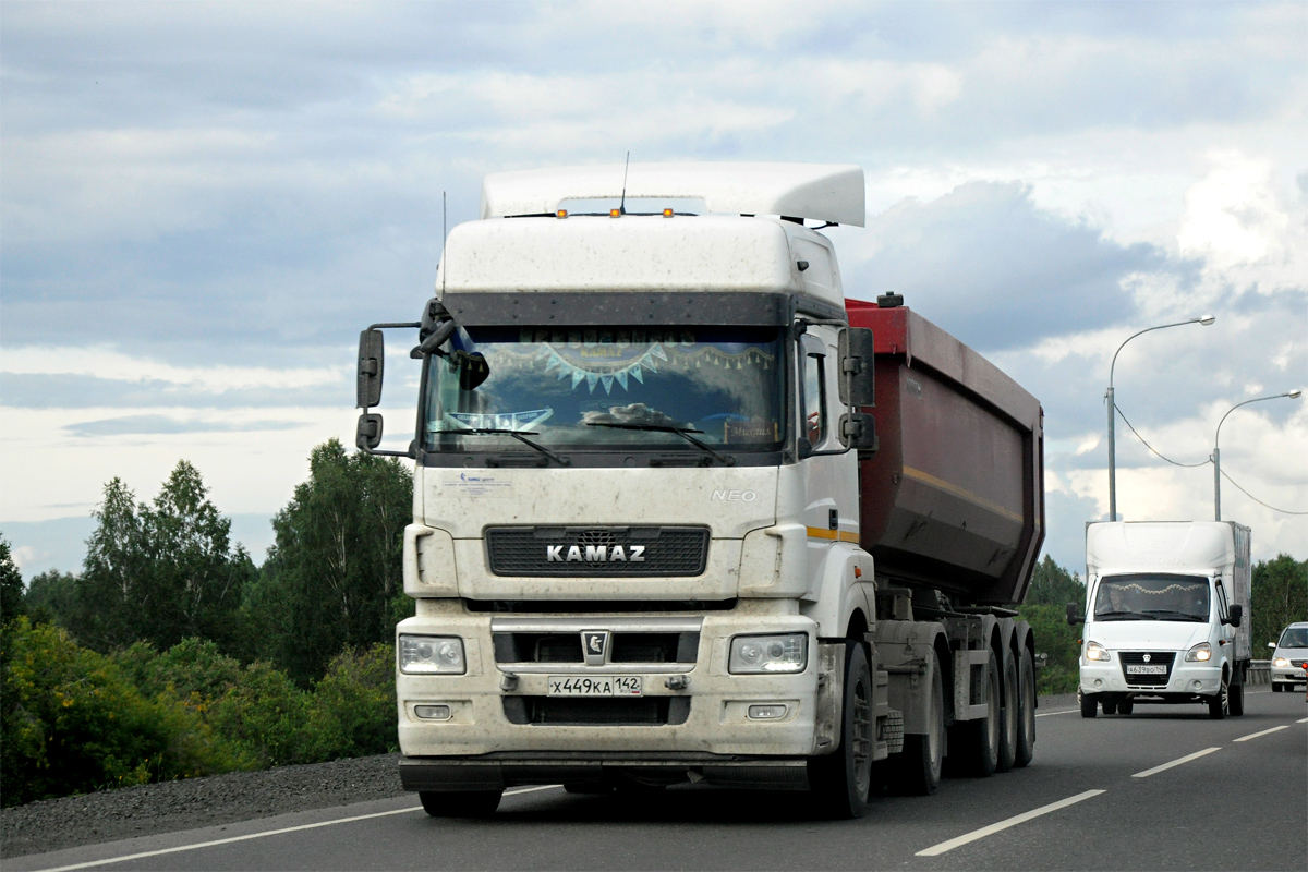 Кемеровская область, № Х 449 КА 142 — КамАЗ-5490-S5(87)